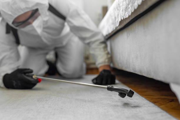 Professional Termite Control technician working in Westmont, IL
