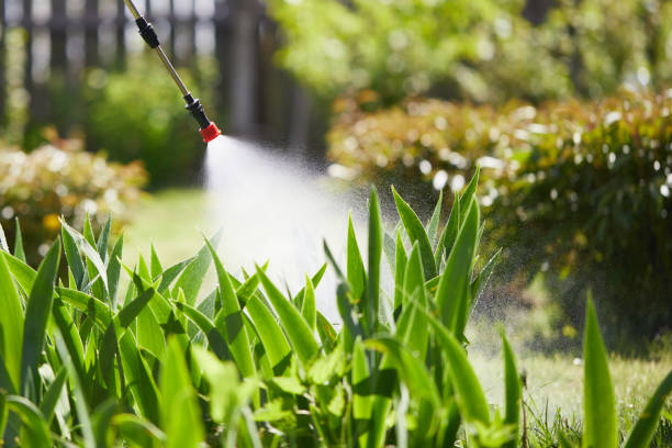 24/7 Emergency Termite Control experts in Westmont, IL